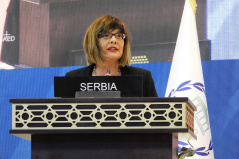 7. april 2019. Predsednica Narodne skupštine Maja Gojković na 140. zasedanju Interparlamentarne unije